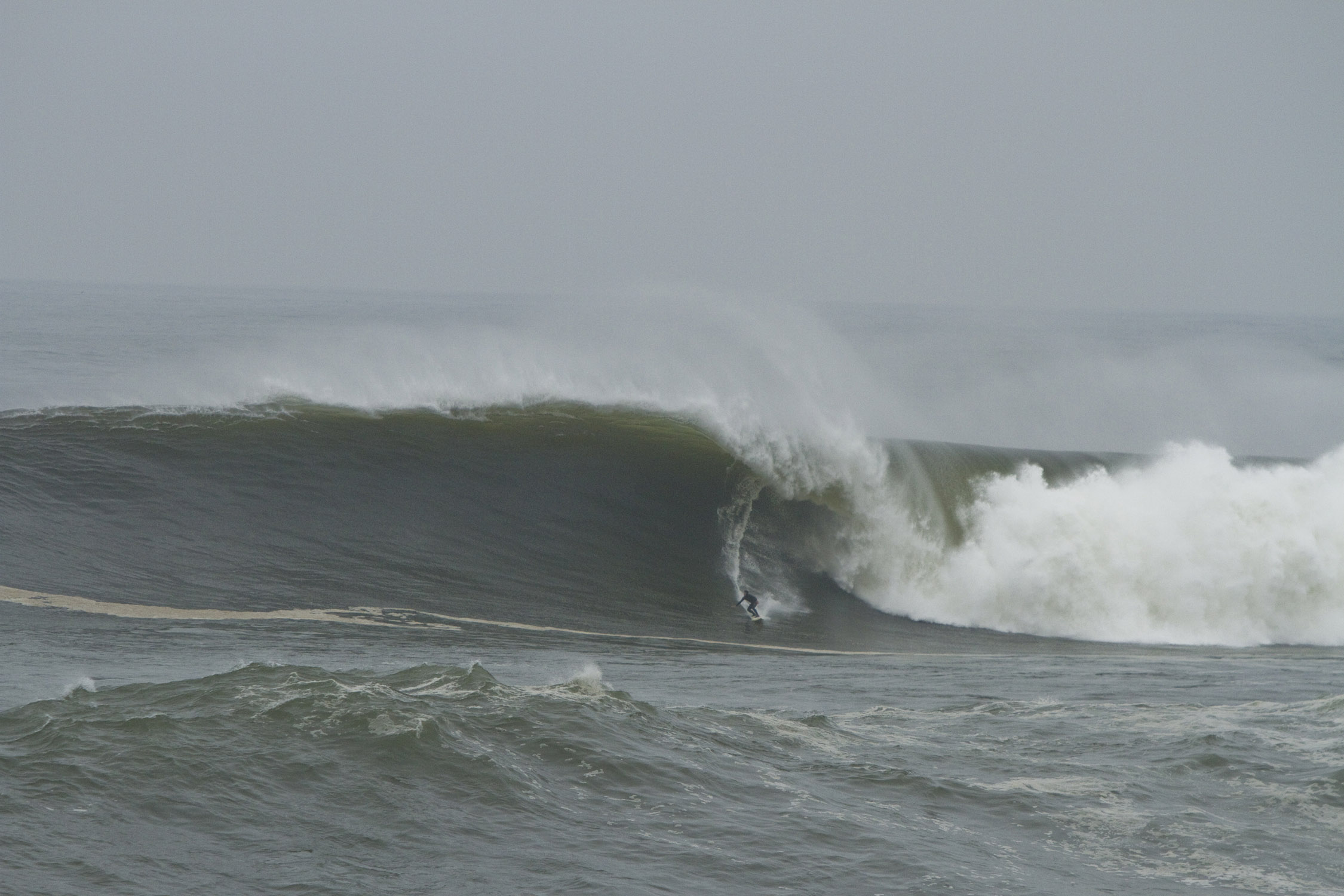 FCDのルーツ — FCD Surfboards